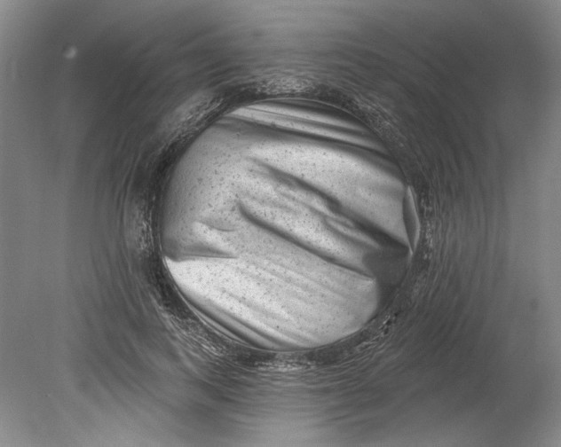 X0000080740743200701021146