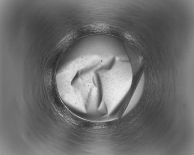 X0000080740744200701021146