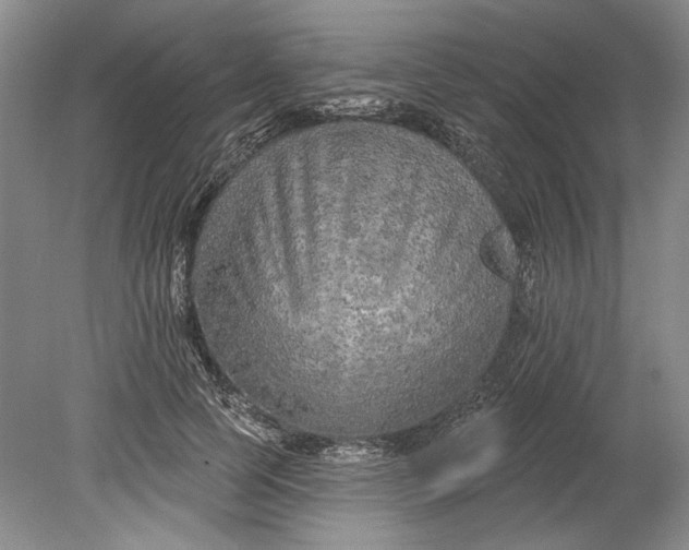 X0000080740745200701021146