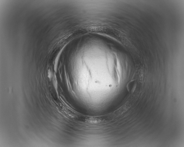 X0000080740746200701021146