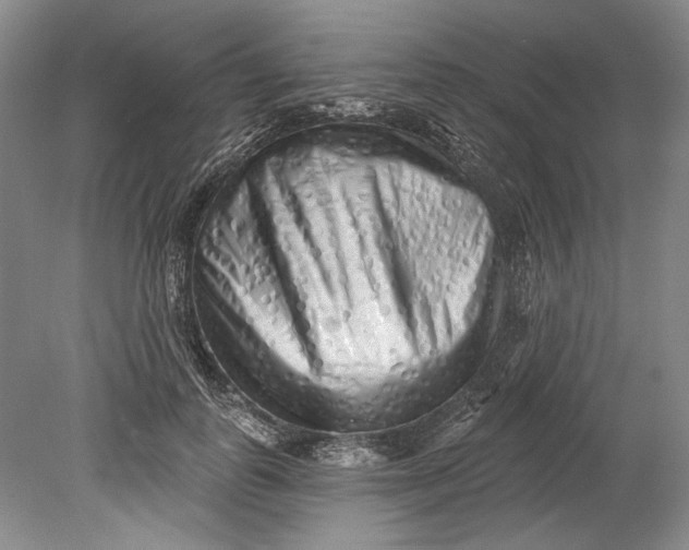 X0000080740747200701021146