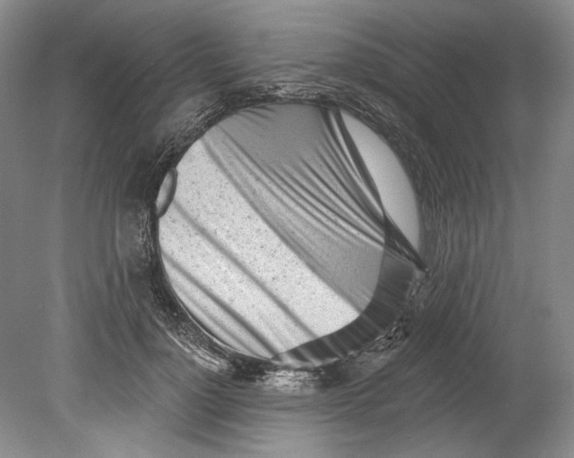 X0000080740748200701021146