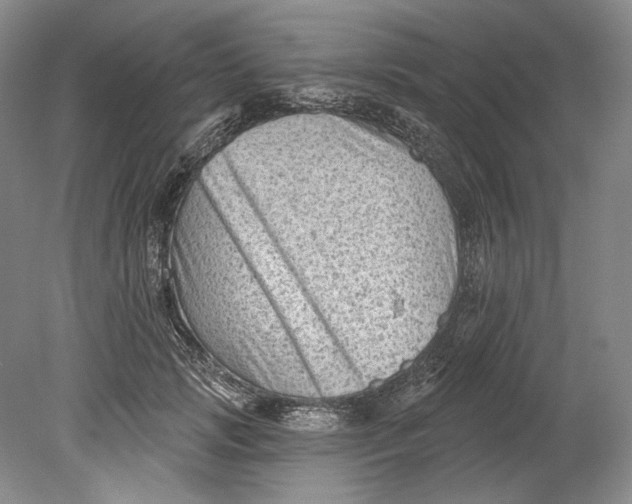 X0000080740749200701021146