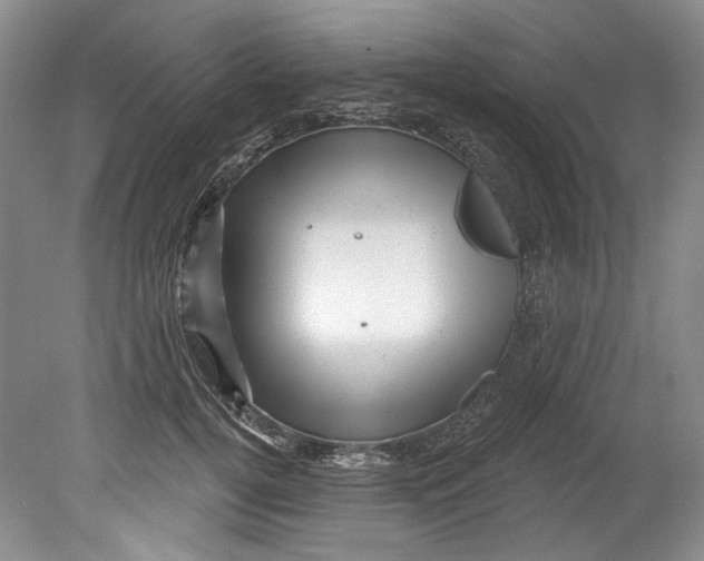 X0000080740752200701021146