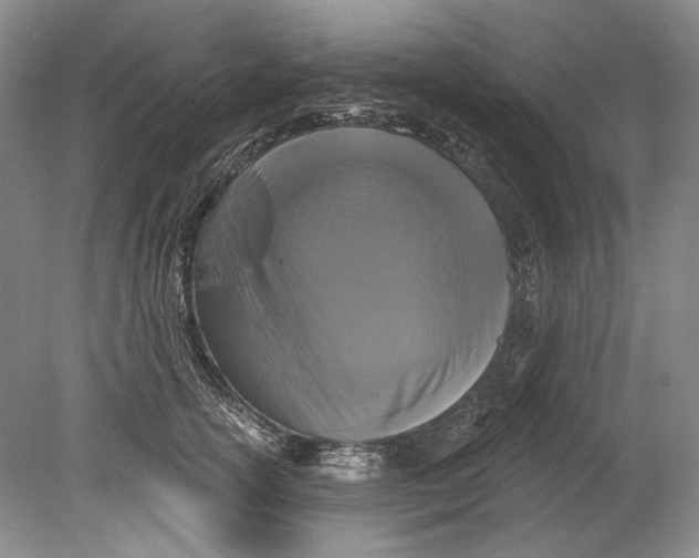 X0000080740754200701021146