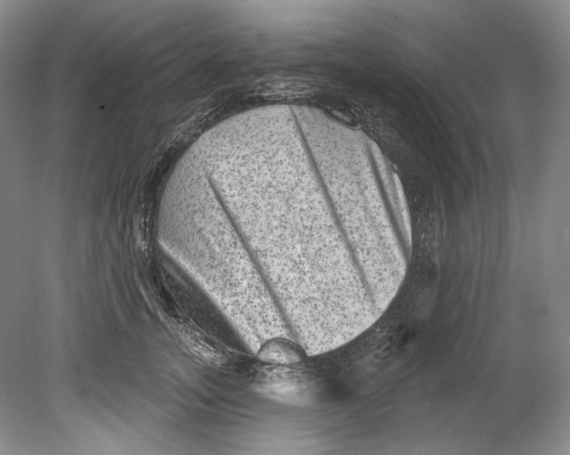 X0000080740755200701021146