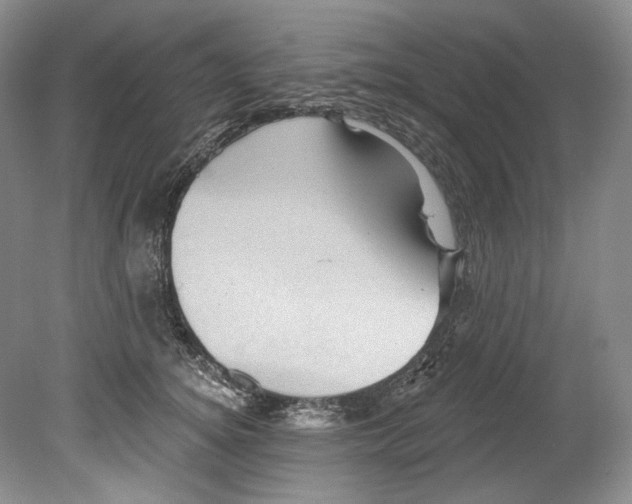 X0000080740756200701021146