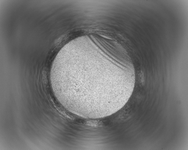 X0000080740757200701021146