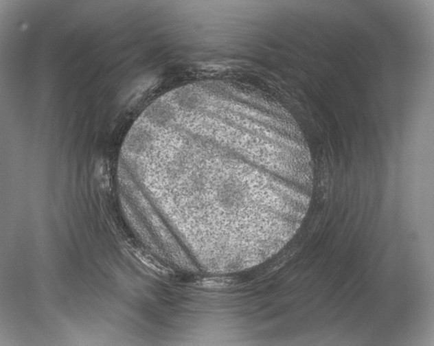 X0000080740758200701021146