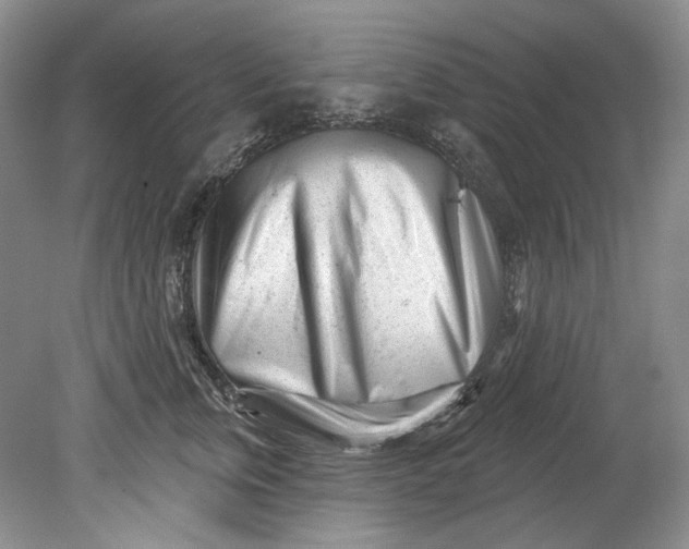 X0000080740759200701021146