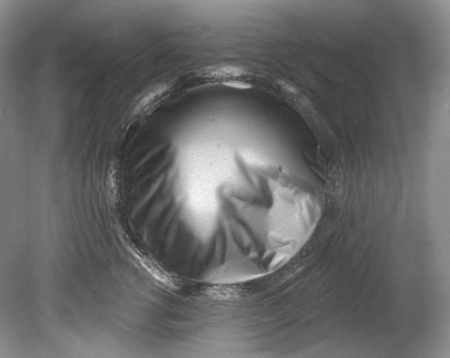 X0000080740762200701021146