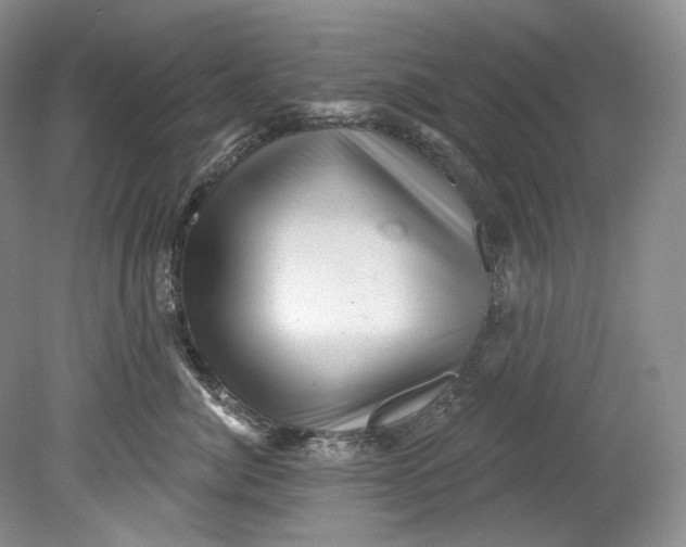 X0000080740764200701021146