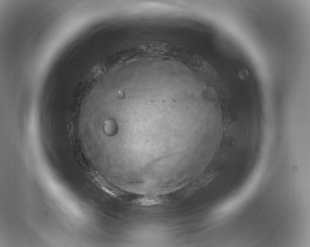 X0000080740765200701021146