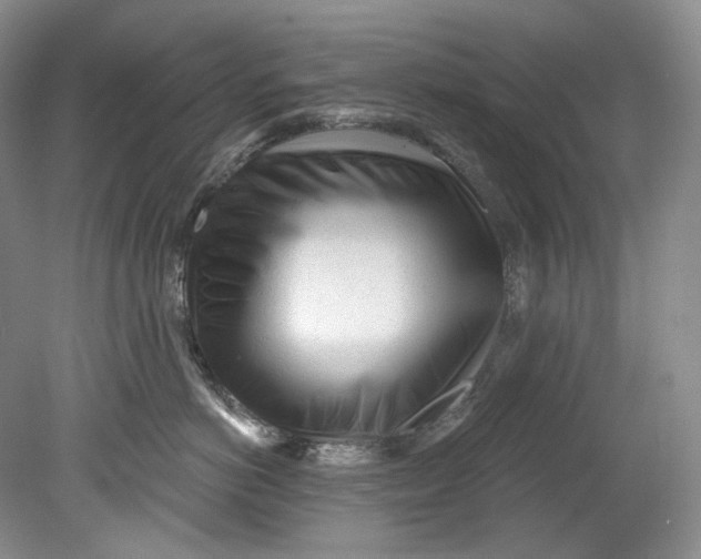 X0000080740766200701021146