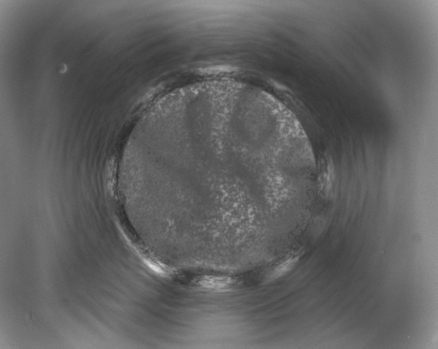 X0000080740767200701021146