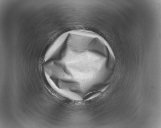 X0000080740768200701021146