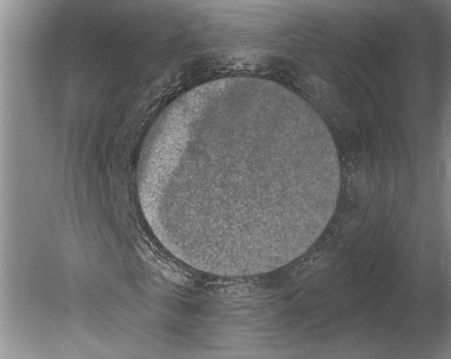 X0000080740769200701021146