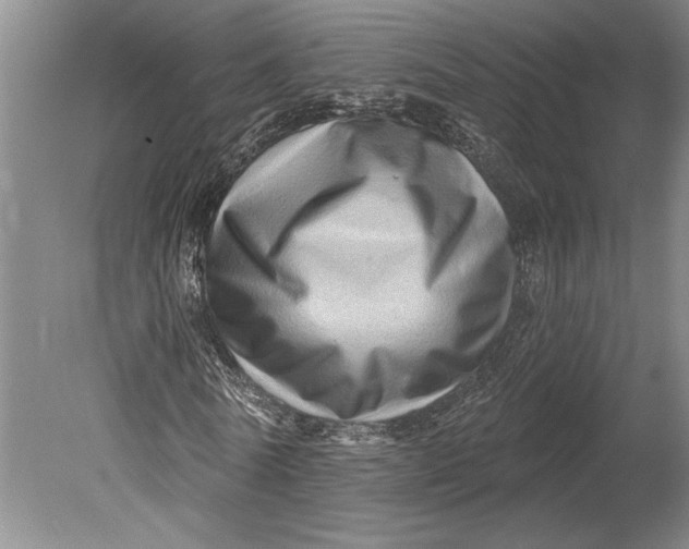 X0000080740770200701021146