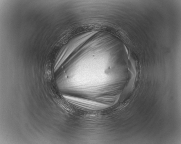 X0000080740771200701021146