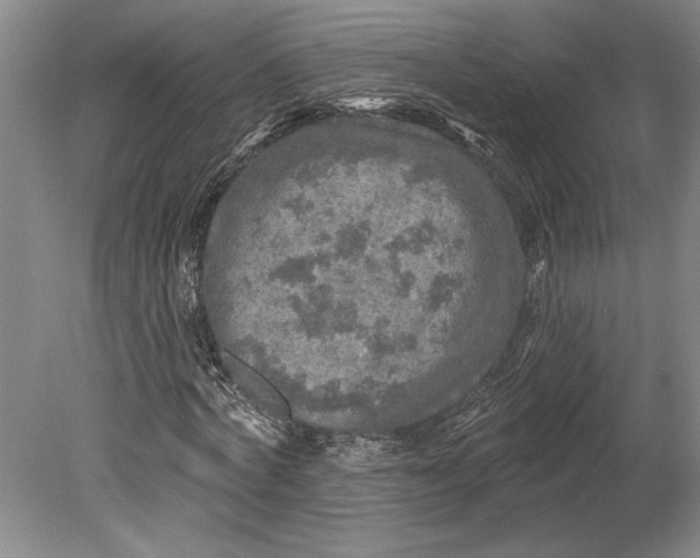 X0000080740772200701021146