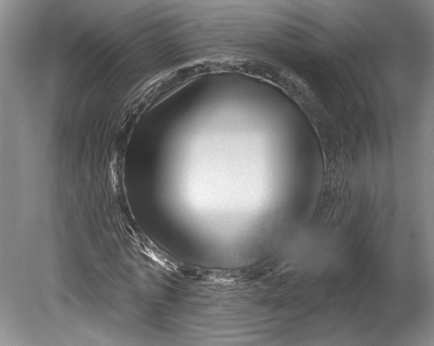 X0000080740773200701021146