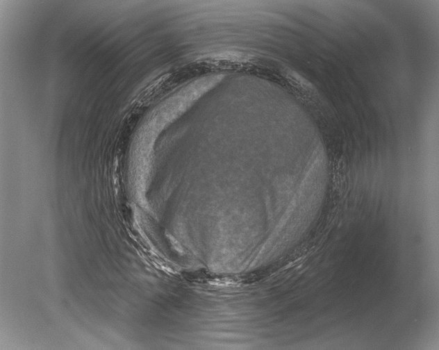 X0000080740774200701021146