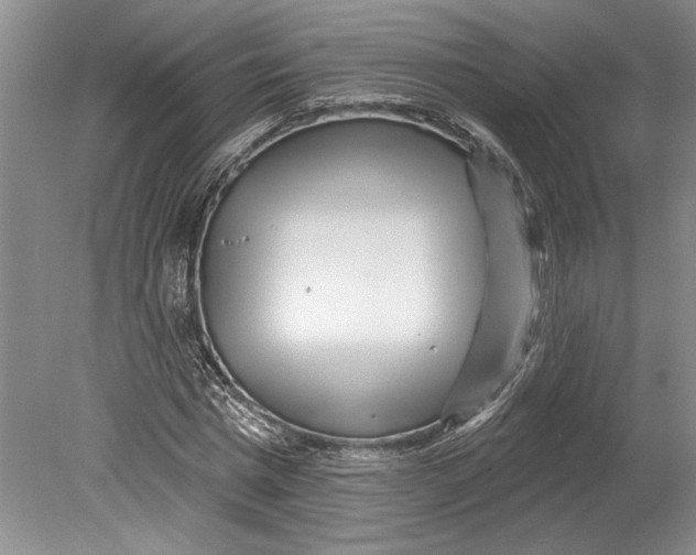 X0000080740777200701021146