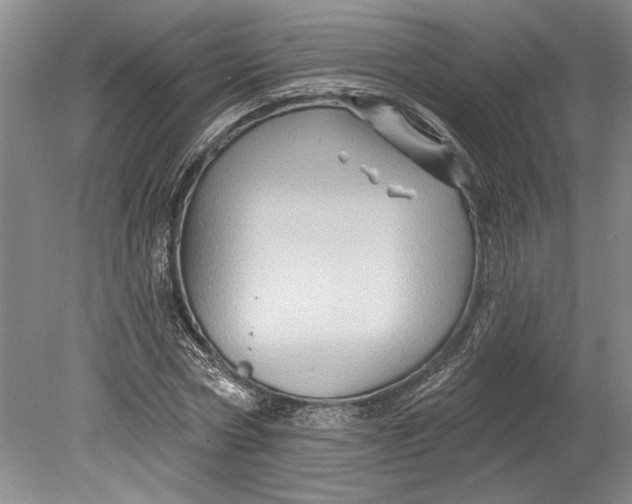 X0000080740778200701021146