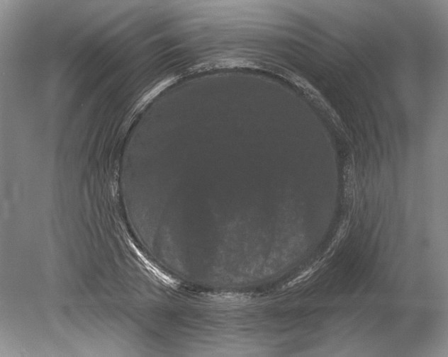 X0000080740785200701021145