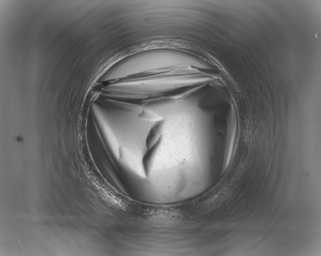 X0000080740786200701021145