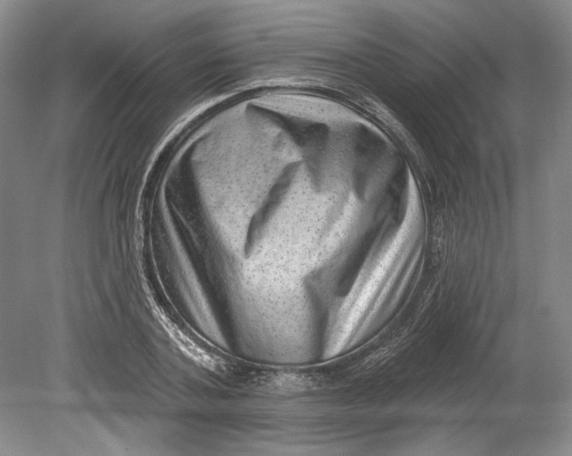 X0000080740787200701021145