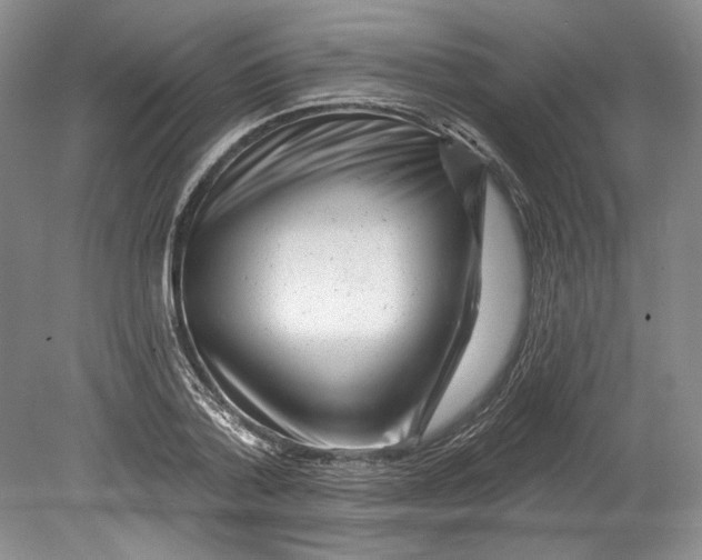 X0000080740788200701021145