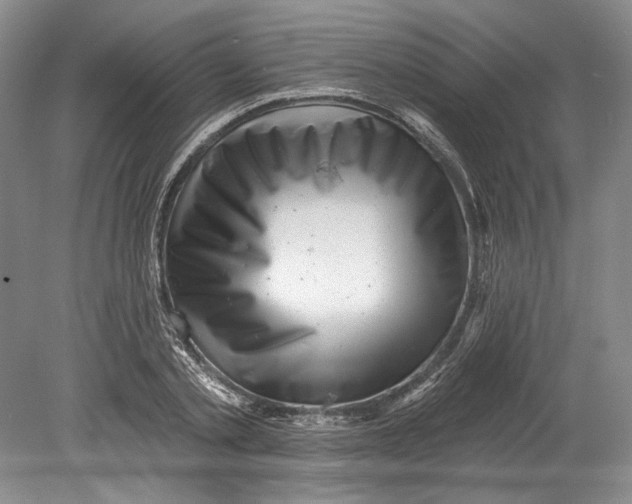 X0000080740789200701021145