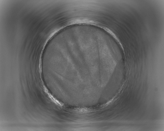 X0000080740791200701021145