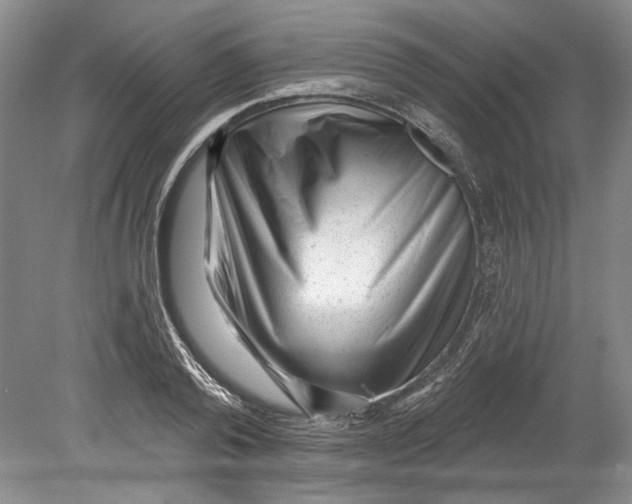 X0000080740792200701021145