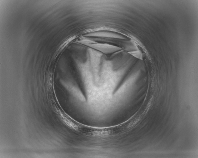 X0000080740793200701021145