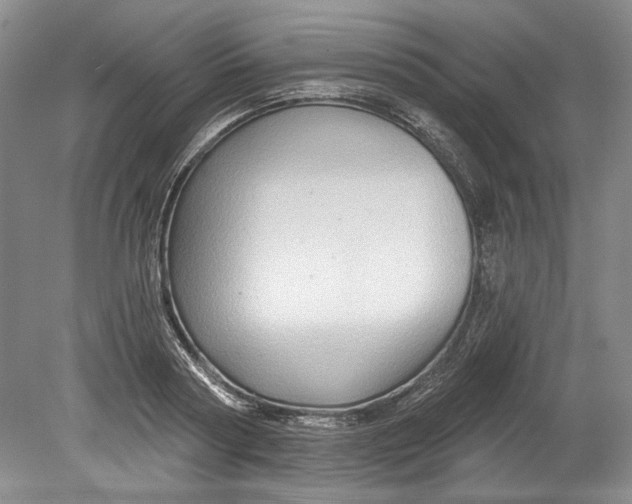 X0000080740794200701021145