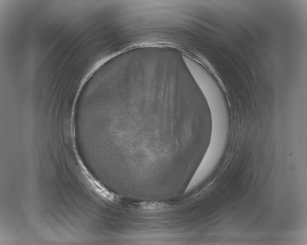 X0000080740795200701021145