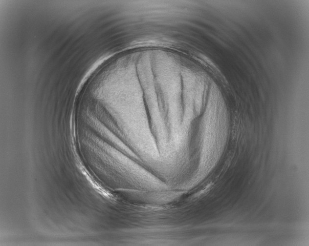 X0000080740796200701021145