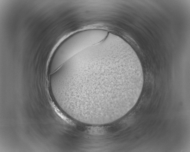 X0000080740800200701021145