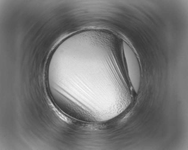 X0000080740803200701021145