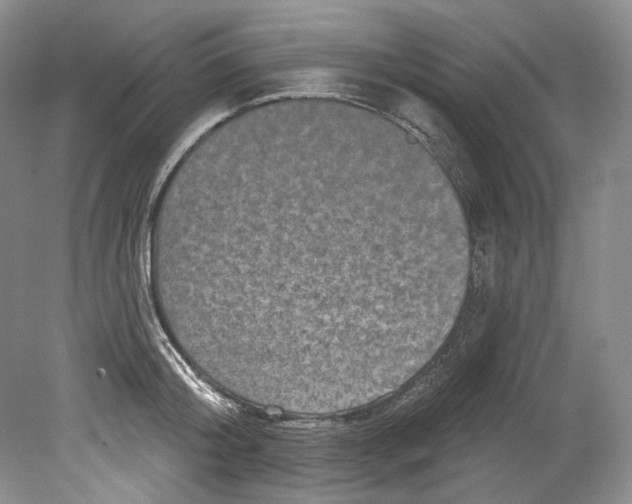 X0000080740804200701021145