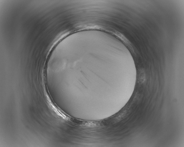 X0000080740806200701021145