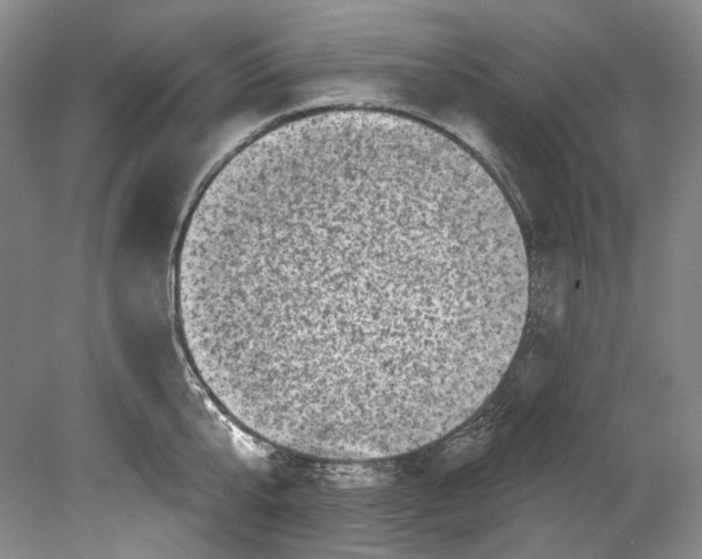 X0000080740807200701021145