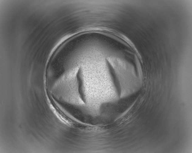 X0000080740811200701021145