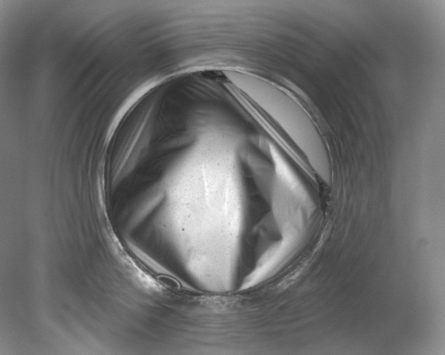 X0000080740812200701021145