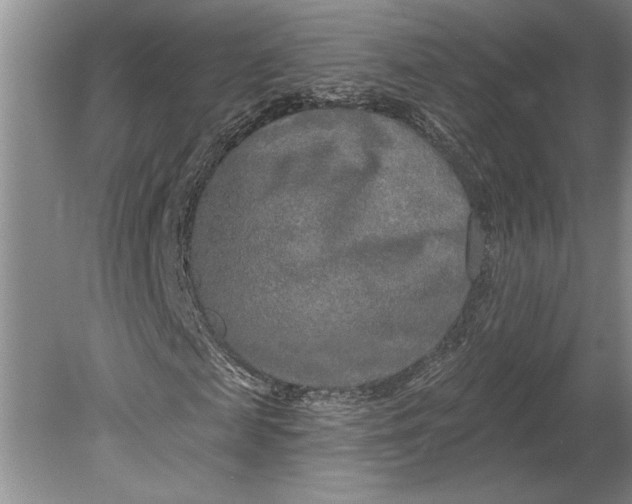 X0000080740817200701021144