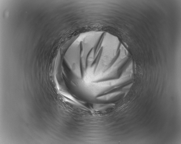 X0000080740818200701021144