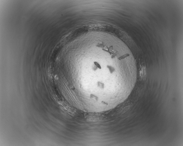 X0000080740819200701021144