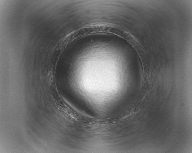 X0000080740821200701021144